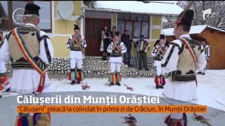 Răsună munţii dacilor de muzică! Căluşerii au pornit la colindat din casă-n casă