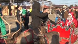 Doi dintre renii lui Moş Crăciun s-au mutat la Ploieşti!