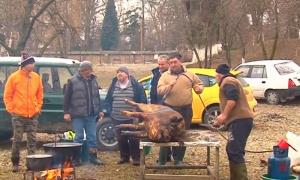 Primarii din Argeș au sacrificat porci în scop caritabil!