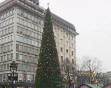 Sârbii, revoltaţi după ce autorităţile de la Belgrad au cheltuit 83 de mii de euro pe un brad de plastic