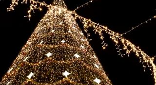 Competiția celor mai frumoși brazi de Crăciun din lume