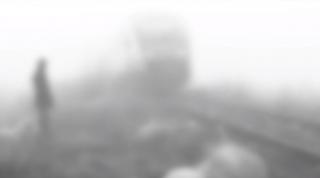 100 de oi, spulberate de tren în Mureş: Ciobanul a observat pericolul în ultima clipă