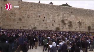 Rugăciune pentru ploaie în Israel, la Zidul Plângerii, după patru ani de secetă