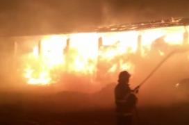 Incendiu devastator la Herghelia din Mangalia. Au ars peste 150 de tone de furaje