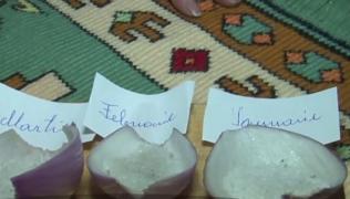 Calendarul de ceapă ne spune, din bătrâni, în care luni din anul viitor va fi secetă şi în care va ploua