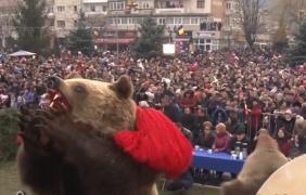 Mii de oameni au venit la Comăneşti ca să vadă jocul urşilor