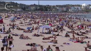 Australia fierbe! Temperaturile au atins maximele record ale ultimilor 80 de ani la Sydney