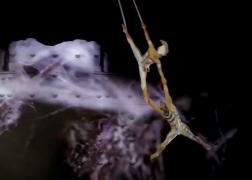 Spectacol magic marca Cirque du Soleil, la Londra