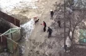 Atacul fiarelor! Doi câini de luptă au sfâşiat o tânără pe stradă, la Iaşi, apoi aproape au mutilat un bărbat. Imaginile groazei