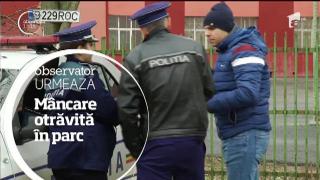 Observator 13 Weekend