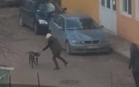 Imagini șocante! Doi câini de rasă lăsaţi liberi în centrul Iaşiului au atacat o fată de 15 ani