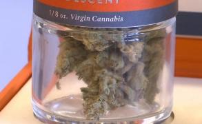 Efect neașteptat al legalizării marijuanei: S-a redus considerabil nivelul infracţiunilor violente