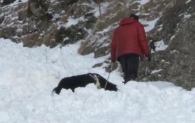 Trei câini experţi în căutarea victimelor avalanşelor îl caută pe tânărul alpinist înghiţit de zăpadă pe Valea Coştilei