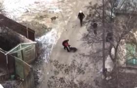 Un bărbat din Iaşi a fost la un pas de moarte după ce a fost atacat pe stradă de doi câini periculoşi