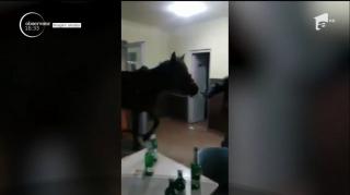 La Sighişoara, ca în filmele western: un bărbat a intrat cu calul într-un bar