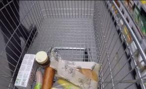 Coşurile de cumpărături sunt mai murdare decât toaletele. Specialiştii spun că plecăm acasă cu un cocktail de bacterii!