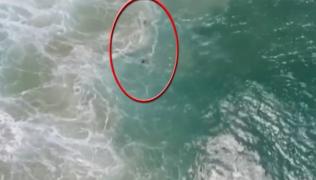 Surferi salvaţi de la moarte cu o dronă, în Australia
