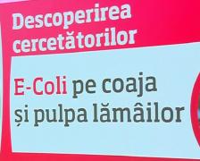 Cercetătorii americani au descoperit E-coli, atât pe coajă, dar şi în pulpa lămâilor tăiate