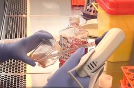 Cercetătorii americani pot să identifice cancerul printr-un simplu test de sânge