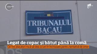 Detalii înfiorătoare în cazul băcăuanului de 23 de ani aproape ucis în bătaie, într-o pădure. Medicii sunt rezervaţi