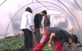 O șansă nouă, la Școala de Meserii! Elevii învață să devină horticultori