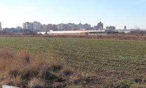 Biserica face praf singura Staţiune de Cercetare legumicolă din Muntenia. Vrea 8 milioane de euro pe 7 hectare pe care acum se cultivă legume rare