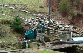 Doi tineri din Oradea s-au retras în sălbăticie și au dezvoltat o afacere prosperă, cu păstrăvi