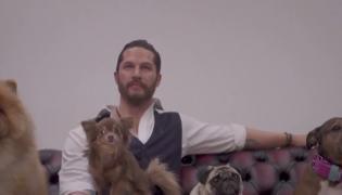 Surpriză pentru domnişoare, de Valentine's Day, de la Tom Hardy