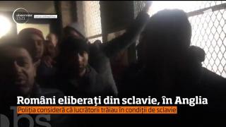 Mai mulţi români, eliberaţi din "sclavie" de la o fermă din Anglia, s-au întors înapoi (Video)