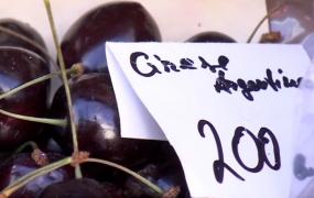 Avem pe tarabe cele mai scumpe cireşe din lume! Kilogramul ajunge şi la 200 de lei, iar vânzătorii au explicaţii