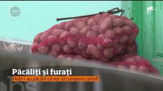 Observator 13 Weekend