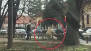 Câinele care a doborît o femeie în Târgu Jiu a rupt și hainele unui bărbat