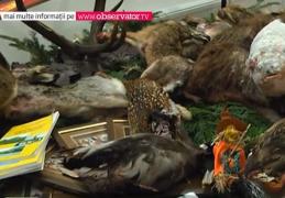 Balul Vânătorilor, la poalele Cetății Neamț, a încehiat sezonul de iarnă