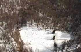 E scandal la Sarmizegetusa. Autorităţile au tăiat 100 de fagi bătrâni, iar ecologiştii sunt furioşi