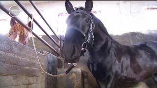 Cadou cu o simbolistică aparte pentru Jandarmeria Română!