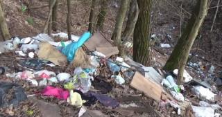 Intrarea în orașul Bocşa, groapă de gunoaie!