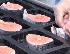 Cum poți afla dacă peștele pe care îl cumperi este proaspăt