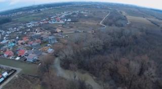 Dintr-o eroare, o firmă a ajuns să taie copacii care nu trebuie, în Măgurele