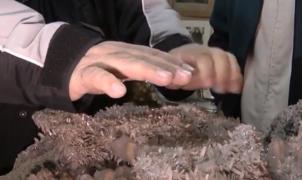 Un bănăţean de 95 de ani şi-a transformat casa în muzeu unic în Europa