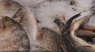 De luni începe Postul Paştelui. Aglomerație în piețele cu pește din ţară (Video)