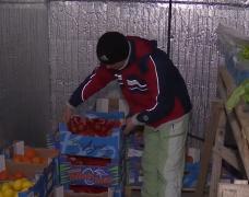 În era tehnologiei, piaţa se face online. Iar agricultorii care livrează acasă coşul cu legume bio au mare succes