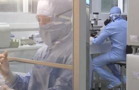 Testele cosmetice pe animale ar putea fi interzise în toată lumea