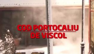Gerul închide şcolile din Capitală şi cinci judeţe. Elevii rămân acasă, însă părinţii nu sunt încântaţi de această decizie