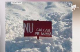 Românii au simţul umorului. Au umplut reţelele de socializare cu glume despre ger şi viscol