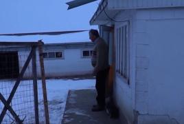 Experiment Observator. Cum arată o dimineaţă geroasă la oraş, comparativ cu aceeaşi dimineaţă, la ţară