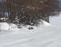 Mai multe localităţi din judeţul Teleorman sunt în continuare izolate