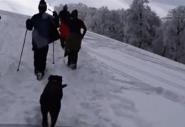 200 de salvatorii montani, în focul examenelor pe vârf de munte