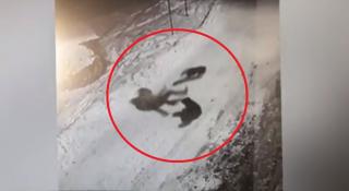 Tânără din Neamţ, atacată de o haită de câini fără stăpân. Primăria ridică din umeri