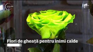 De 8 martie se oferă trandafiri crfiogenaţi, în locul tradiţionalelor flori de primăvară