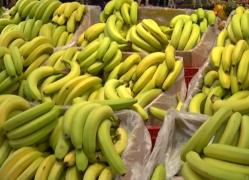 E lege! Elevii vor primi banane şi alte fructe proaspete, la şcoală
